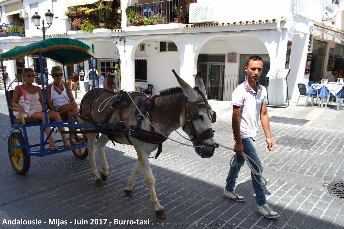 389- Mijas.JPG